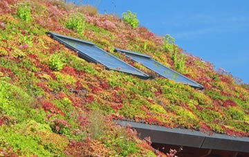 Blairlogie living roof systems
