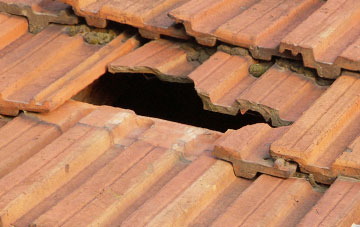 roof repair Blairlogie, Stirling
