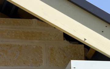 soffit repair Blairlogie