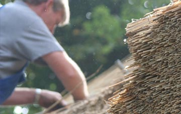 professional Blairlogie thatchers