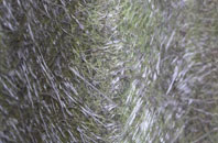 Blairlogie fibreglass roof work